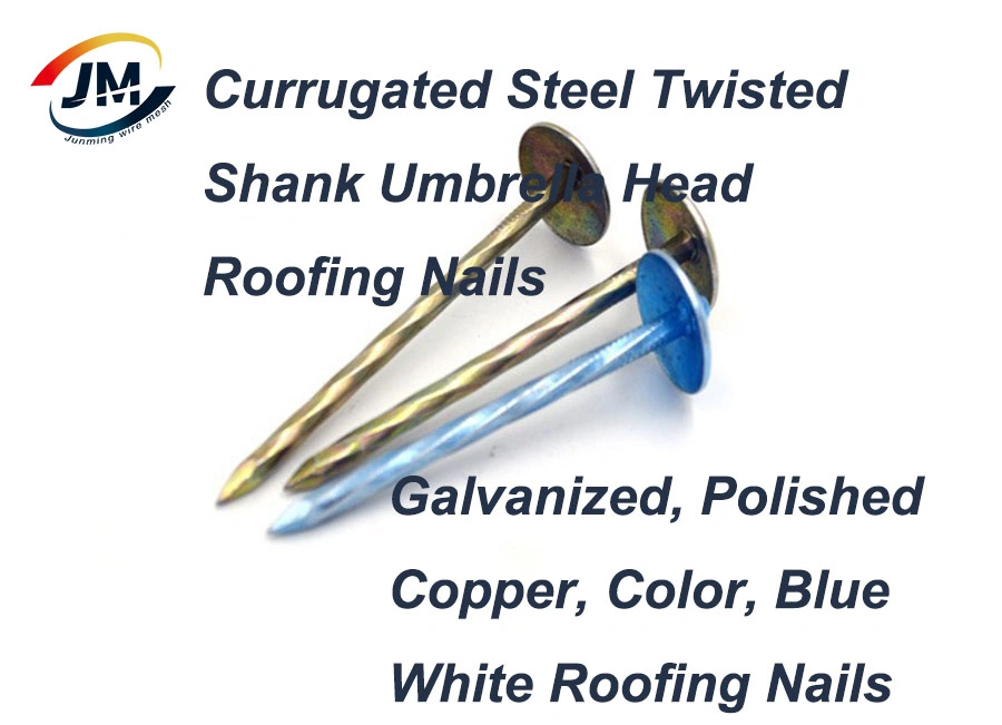 Roofing Nail/Clout Nail/Big Head Nail/Copper Nail/Ceiling Nail/Polished Common Concrete Nails for Ethiopia Market