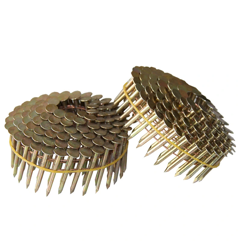 Big Head Zinc Plated Cupper Nails Concrete Nail in Guangzhou