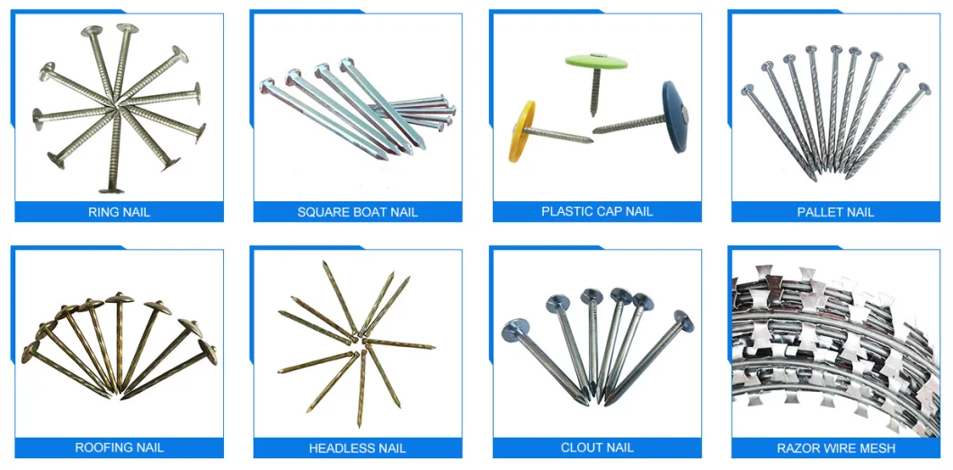 1/2&prime;&prime;/1&prime;&prime;/1 1/4&prime;&prime; Big Flat Head Clout Roofing Iron Nail