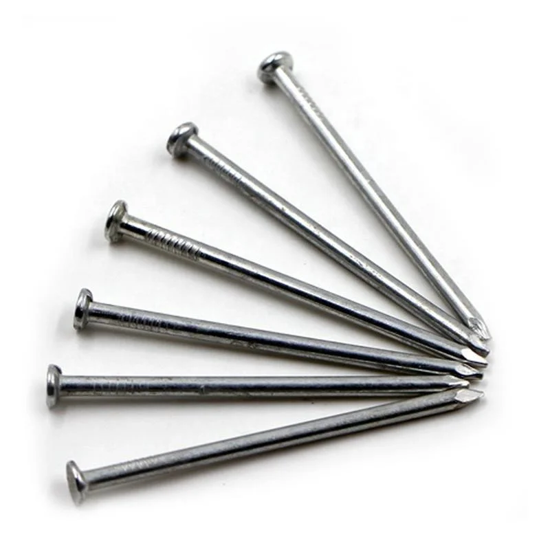 Common Wire Nail Polished 2.5 Inch Wood Nail with Big Head 7kg Bag Hardware Fastener for Construction Material