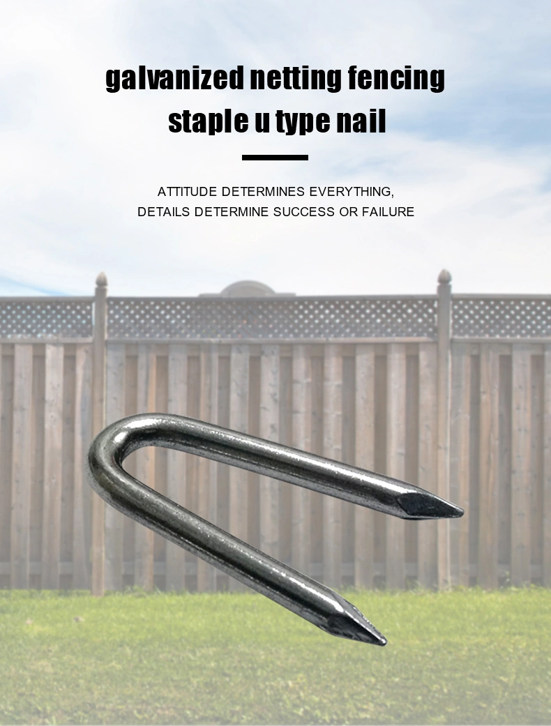 National U Shape Nail 50078 Lb 1-1/4-Inch Fence Staple