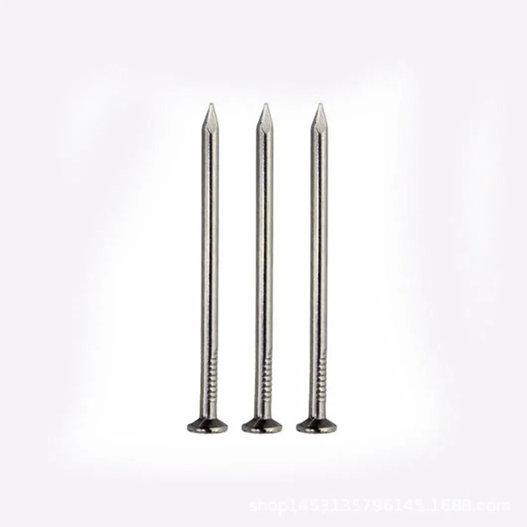 Professional Manufacturer Carbon Steel Nail Electro Galvanized Spiral Shank Concrete Nails Angular Spiral Shank Steel Nail