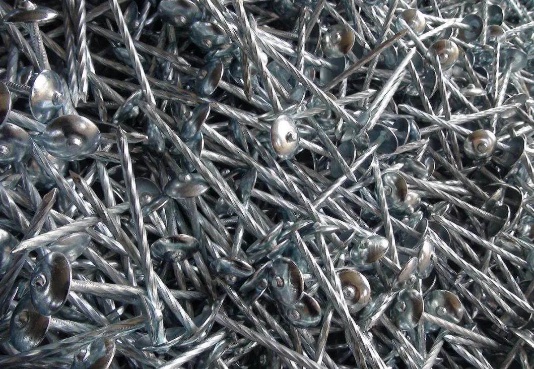 Electro Galvanized Roofing Nail with Spiral Shank in Material Q195