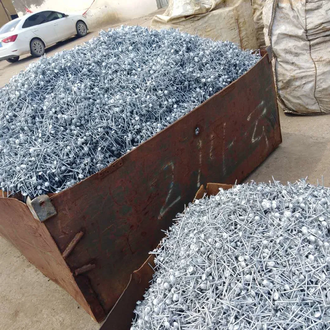 Expert Standard Galvanized Roofing /Concrete /Clout /Wire Nails