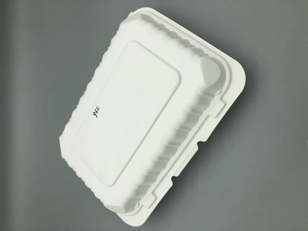 Hotel&amp; Restaurant Food Package Using Disposable Packaging Box