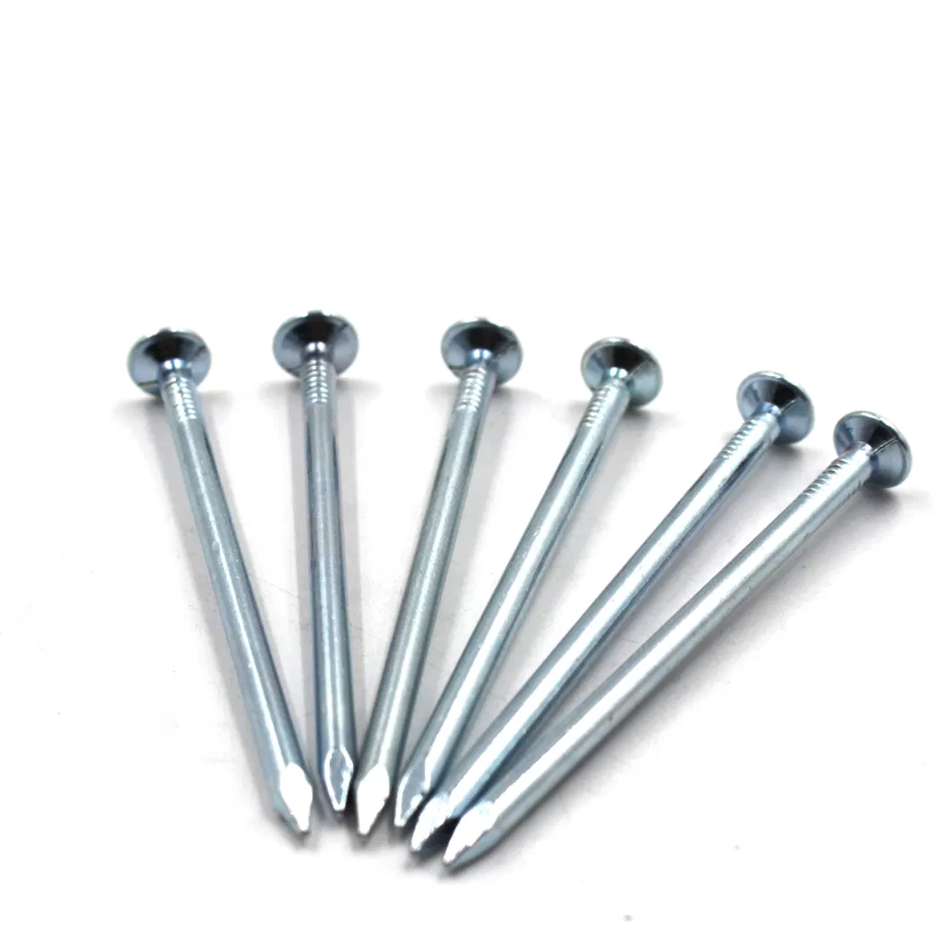 Polished Common Steel Nails