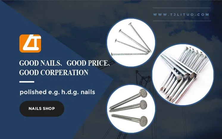 Wholesale Round Headless Finishing Common Nail for Furniture