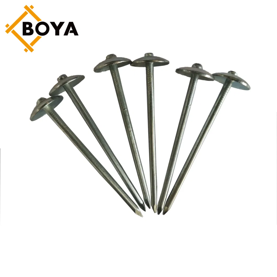 Umbrella Head Roofing Nails Rubber Washer for Peru Market