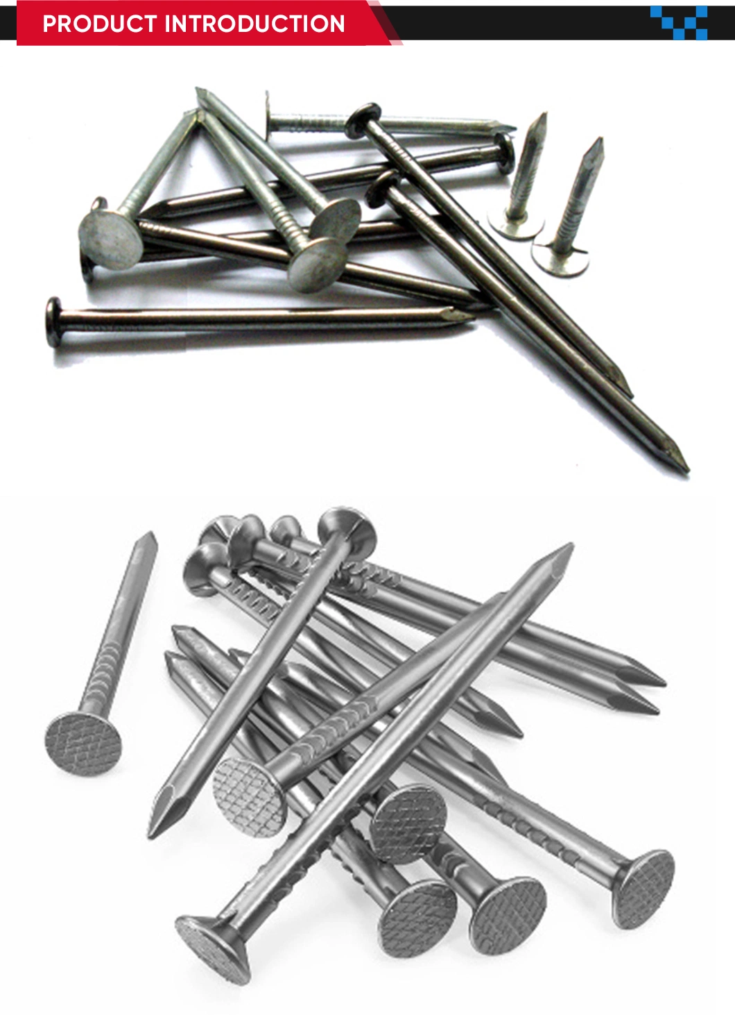 Common Roofing Coil Nail with Ring Shank