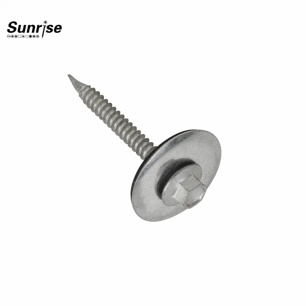 Customized Colorful Hex Washer Head Point Ruspert 1000 Small Self Drilling Roof Screw