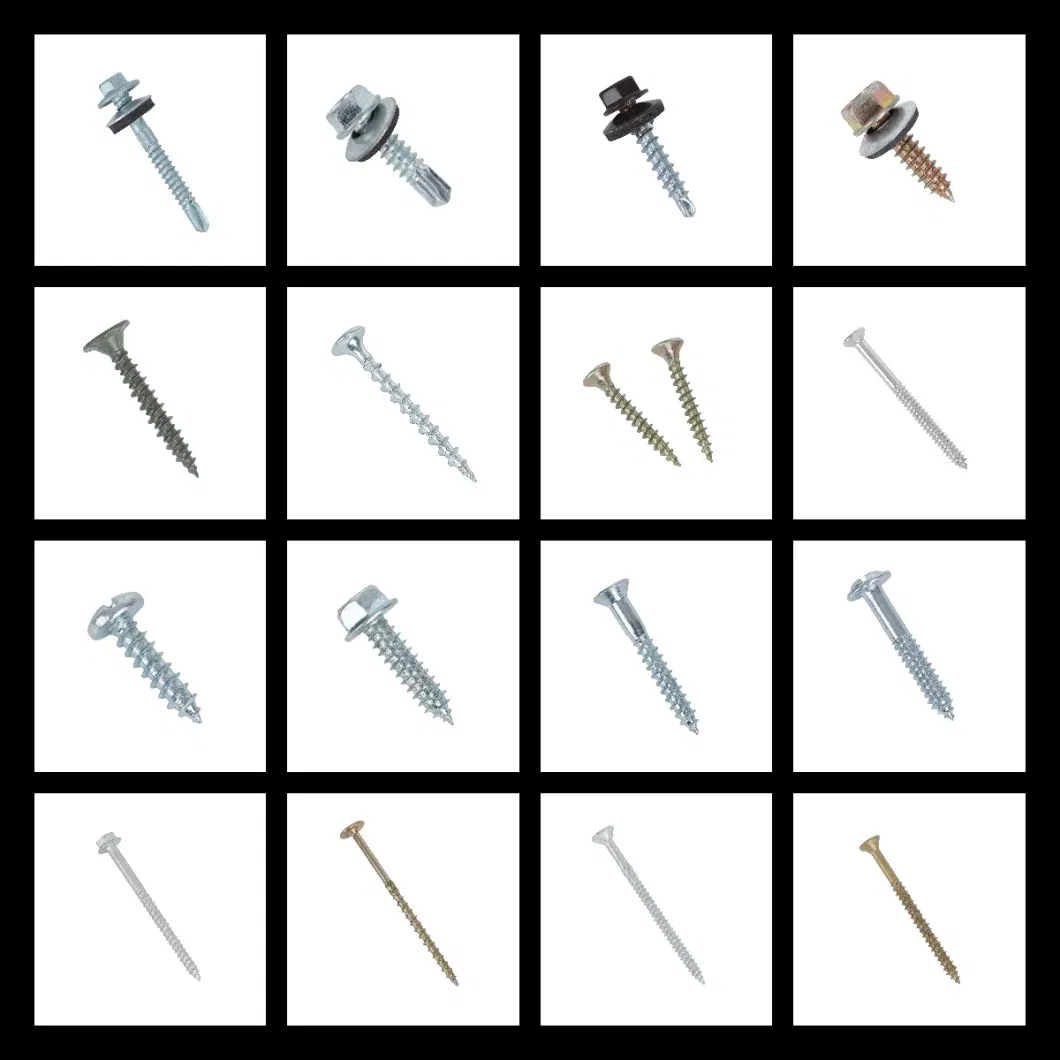 High Quality Stainless Steel Screws/Drywall Screw/Self Drilling Tapping Screw/Chipboard Screw/Wood Screw/Machine Screw/Roofing Screw/Decking Concrete Screw