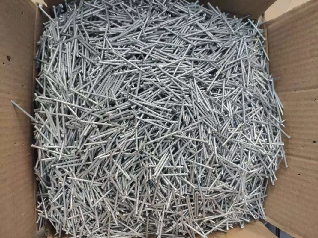 2 Inch Stainless Steel Lost Head Smooth Shank Nails in 1kg Polybag