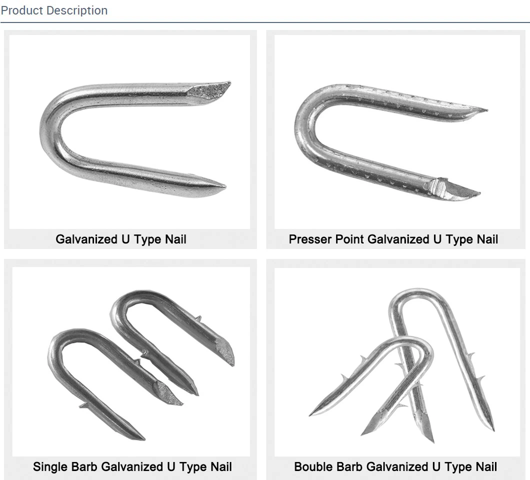 Elector Galvanized Fence Staple Nail Side Cut Point or Diamond Point U Nail