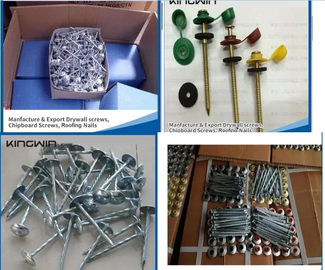 Factory Cheaper Price Hot Sale Three Star 1/2&quot; 3/4&quot; Blue Shoe Tack Nails for Afirca Market with SGS Approved