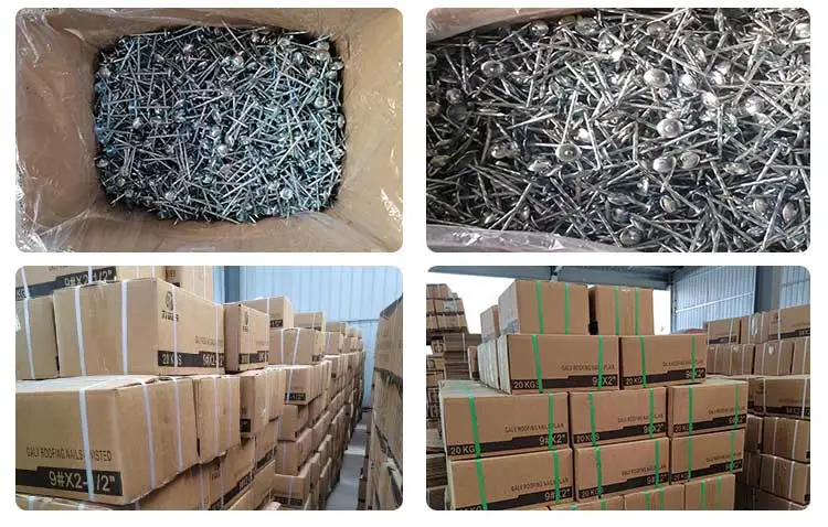 China Electro Galvanized Roofing Nail Screws Twisted Shank Screw Nail with Rubber Washer Zinc Twist Roofing Nails