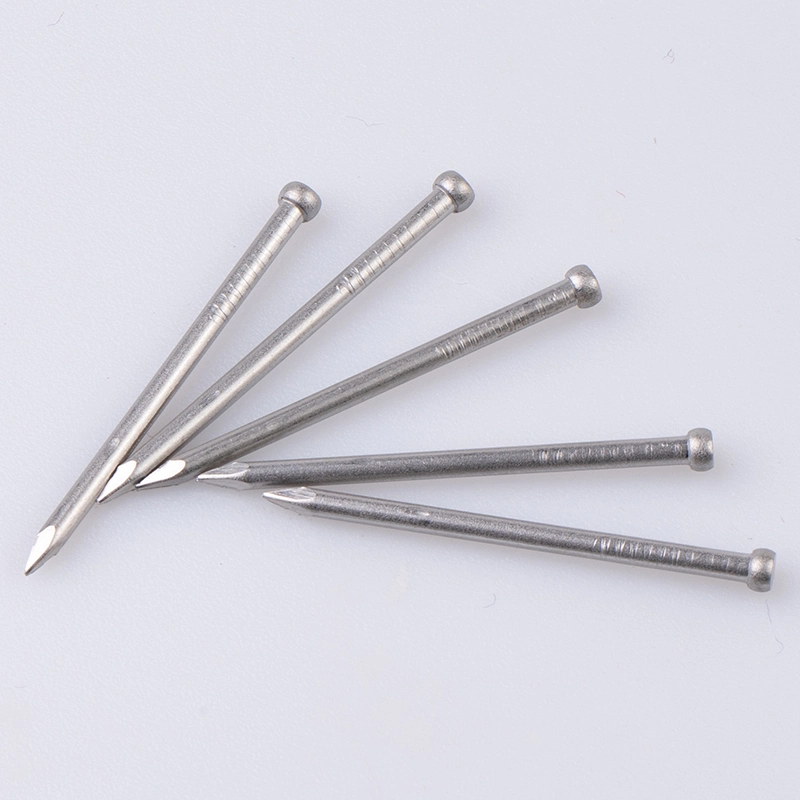 Factory Wholesale 304 Stainless Steel Passivated Metal Nail