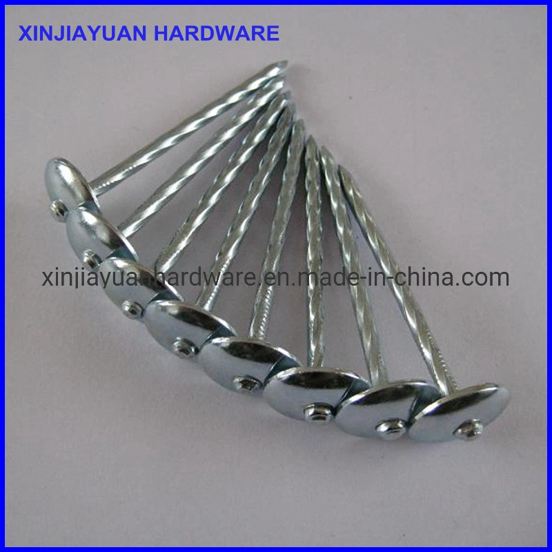 Fasteners Galvanized Roofing Nail Big Flat Head