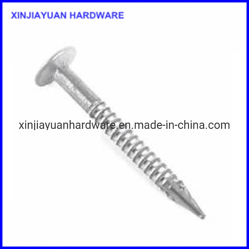 Fasteners Galvanized Roofing Nail Big Flat Head