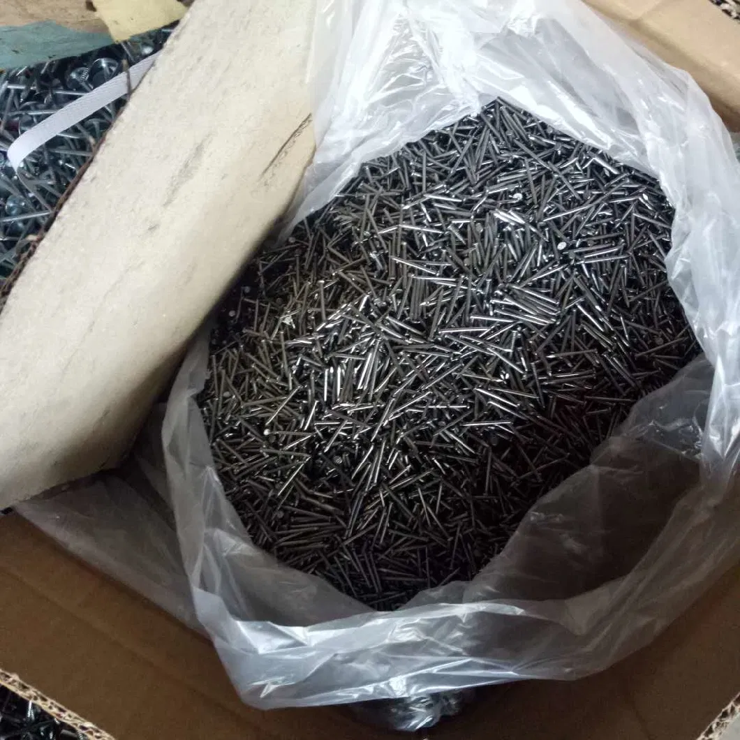 Common Round Iron Wire Nails Factory