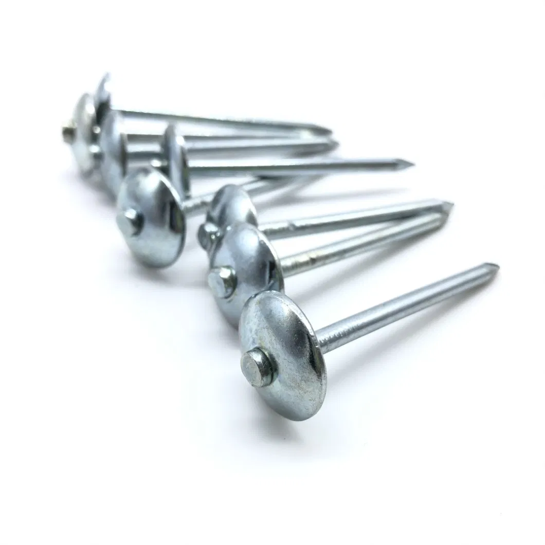 Hot Sale Roofing Nails Umbrella Head Roofing Nails/Corrugated Nails Galvanized Twisted Shank