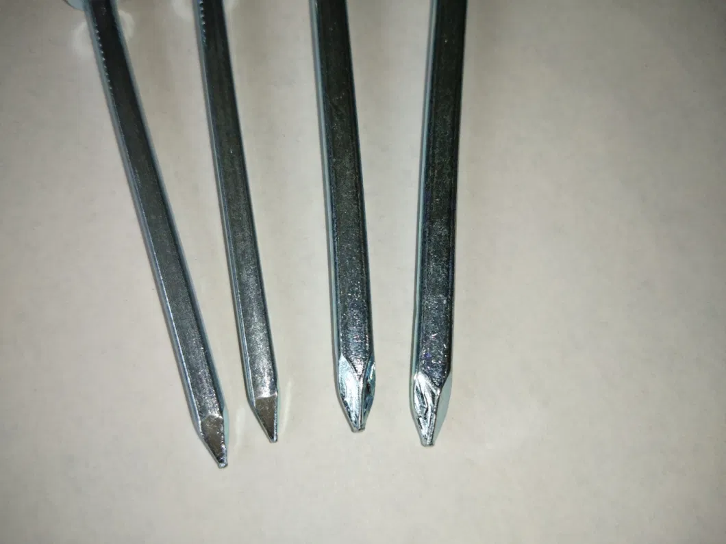 Brightly Galvanized Square Shank Boat Nails, Boat Nail