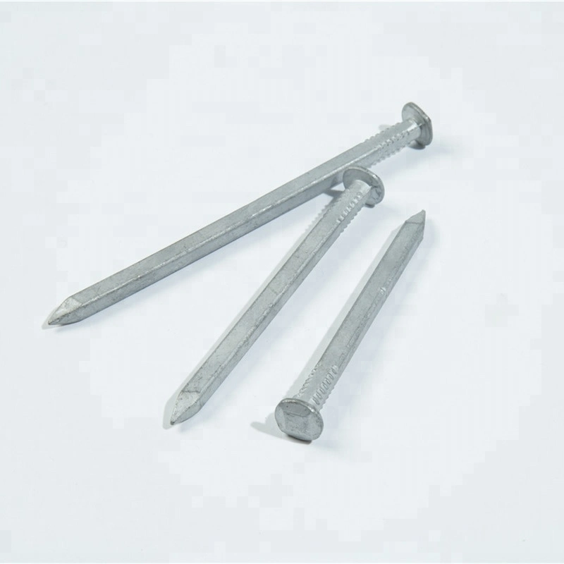 1inch Galvanized Square Boat Nails for Building Nails