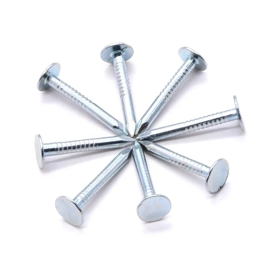 Professional Flat Head Roofing Nails Ceiling Nails Galvanized Cupper Nails