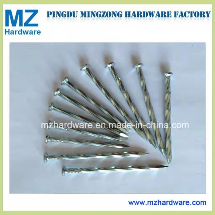 Electro Galvanized Angular Spiral Shank Steel Concrete Nail