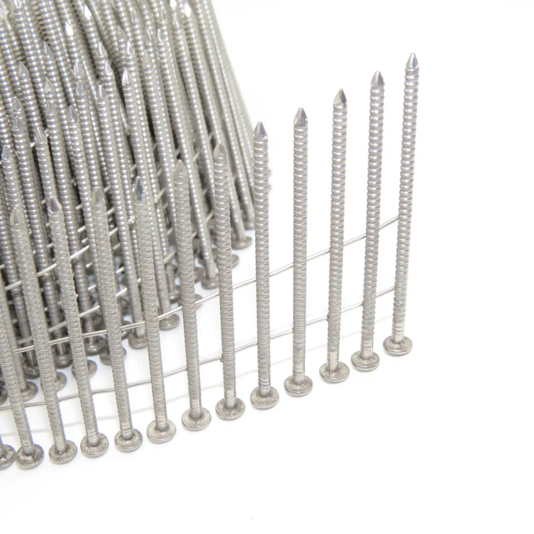 High Quality Stainless Steel Collated Coil Nails