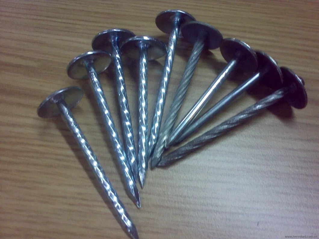 Galvanized Construction Wire Umbrella Head Iron Nail