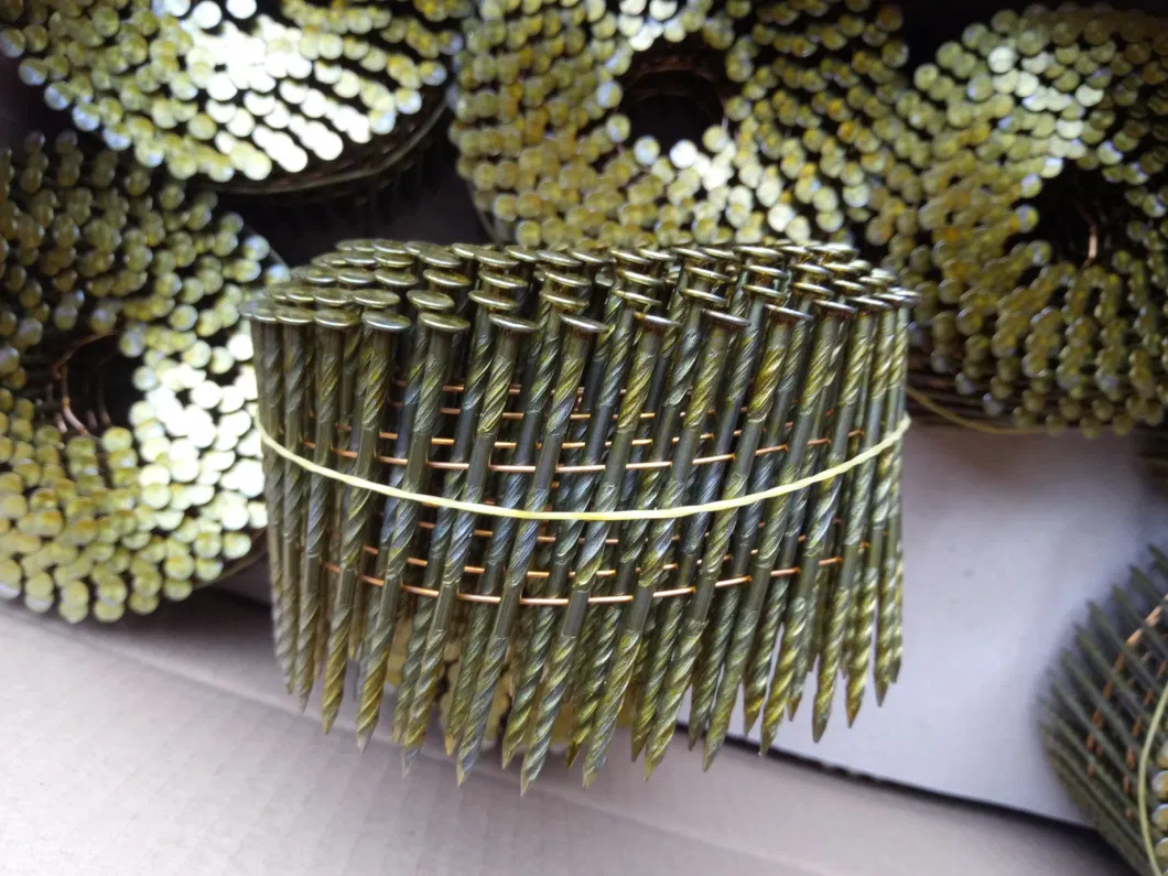 Wire Collated Coil Nail 2.5mm X 65mm for Wooden Pallet