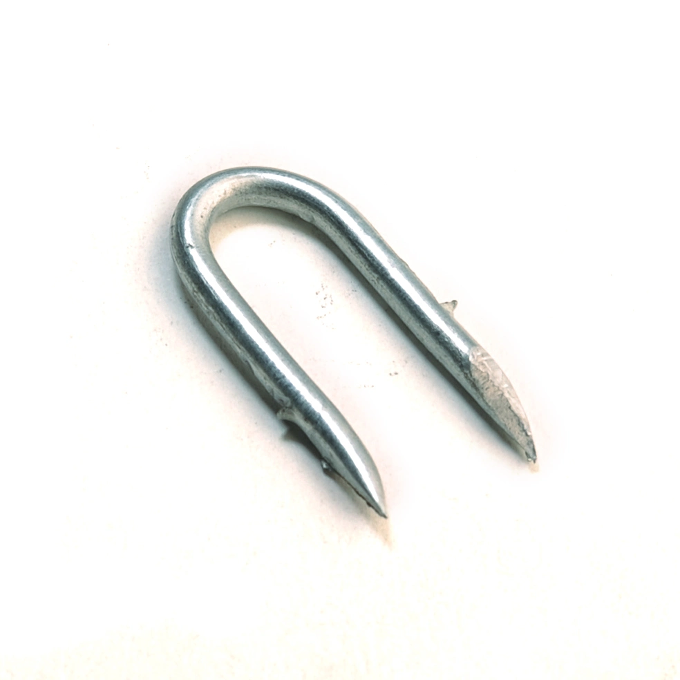 Barbed Shank Fence Staples / Barbed Shank U Nail / Fence Staple