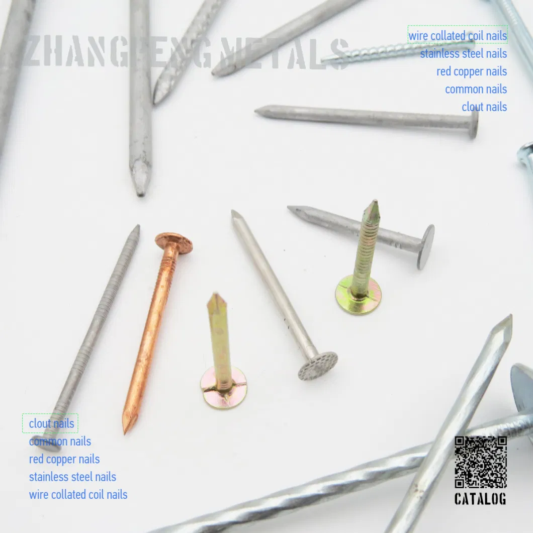 Origin China, Ordinary Nails/Iron Nails/Polished Wire Nails/Ordinary Round Nails/Roofing Nails/Wooden Nails