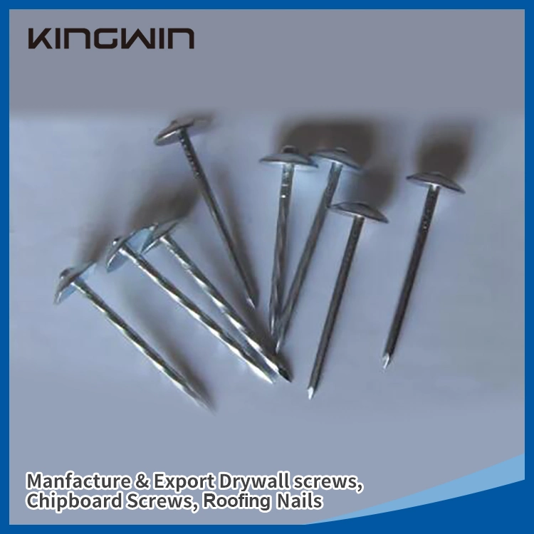 Umbrella Head Twist Shank Roofing Nails with Rubber Cap