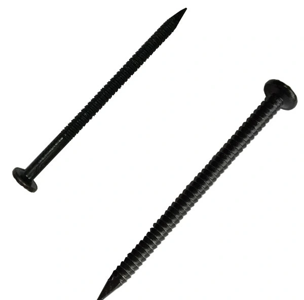 Guangzhou Supplier Black Ring Shank Nail in Guangzhou