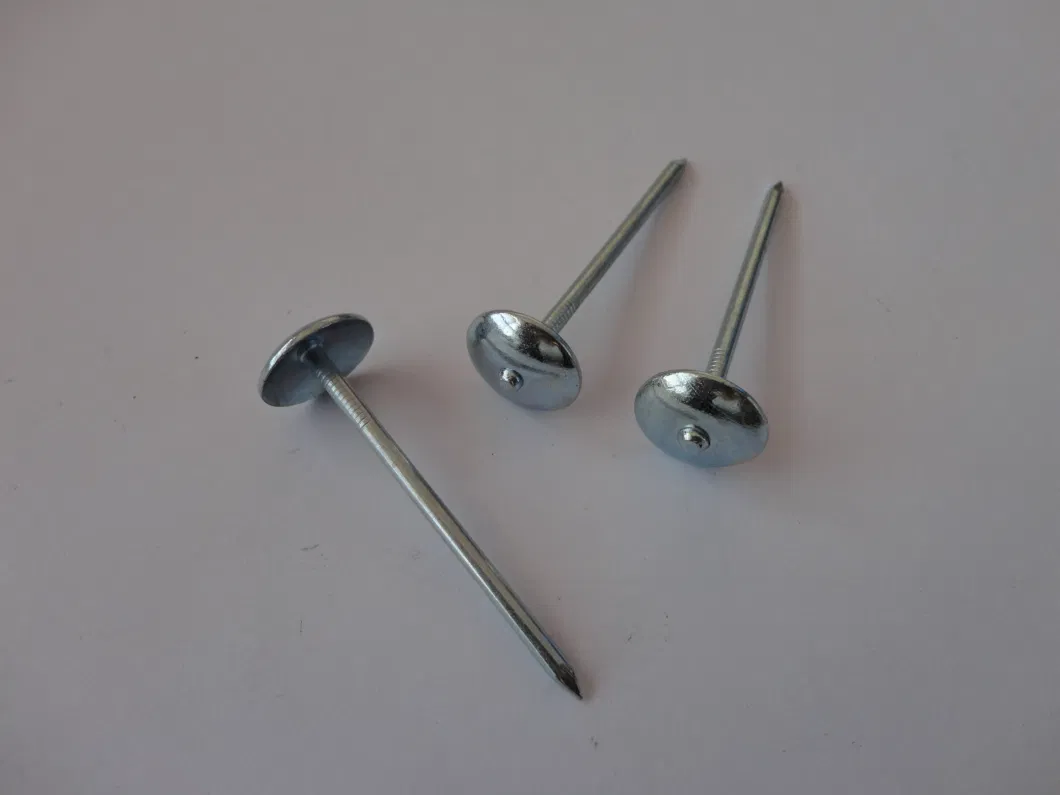 Galvanized Twist Shank Umbrella Roofing Nails