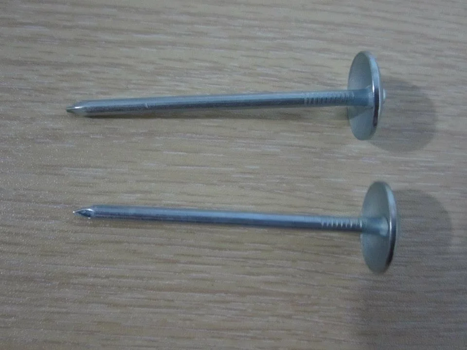 Umbrella Head Galvanized Roofing Nail