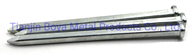 Galvanized Boat Construction Square Shank Boat Nail