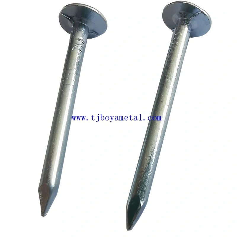 20 X 2.8mm Galvanised Clout Nails