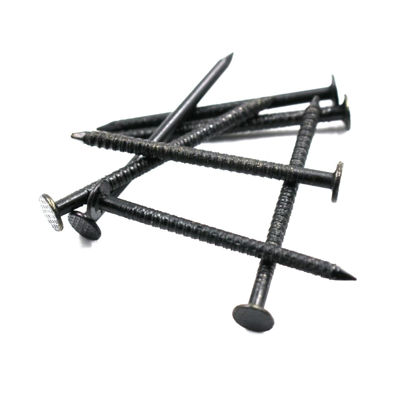 Guangzhou Supplier Black Ring Shank Nail in Guangzhou