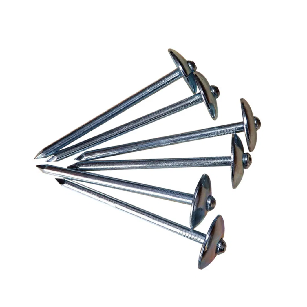 Bwg9 Bwg10 Smooth Shank or Twist Shank Galvanized Umbrella Head Roofing Nail