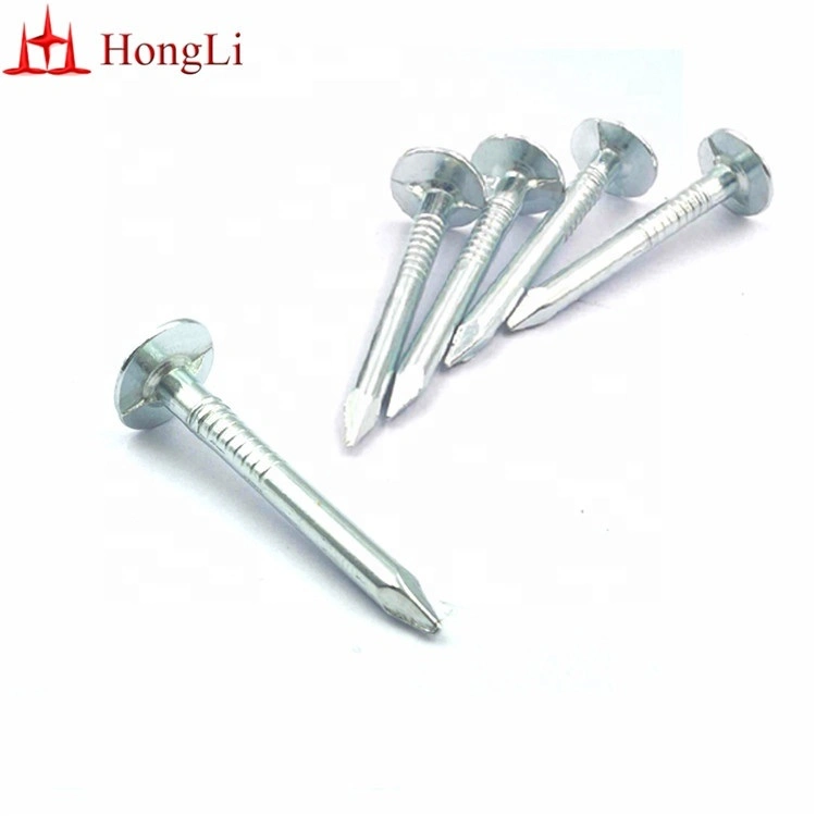 32mm Electro Galvanized Clout Nails Cupper Nails for South Africa Market