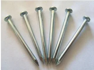 45# 55# High Quality Steel Angular Concrete Nail with Various Shank Screw/Twist/Smooth Shank