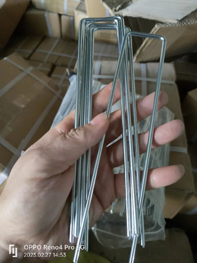 China Manufacturer U Type Nails Galvanized Netting Fencing Garden Ricoh Staples for Furniture