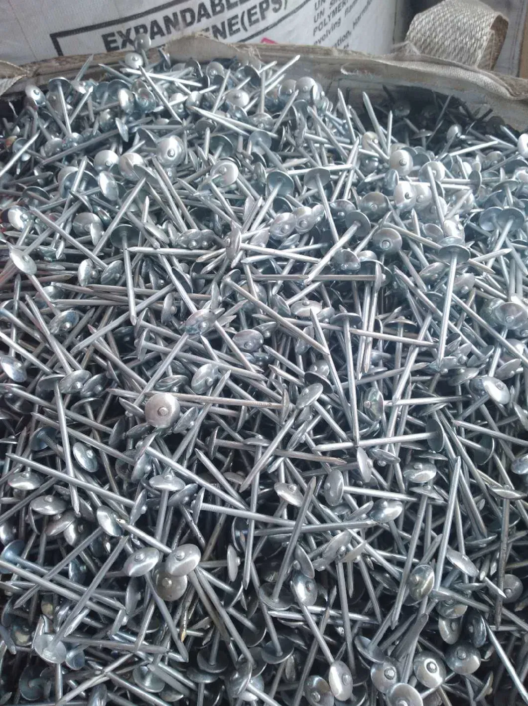 Expert Standard Galvanized Roofing /Concrete /Clout /Wire Nails