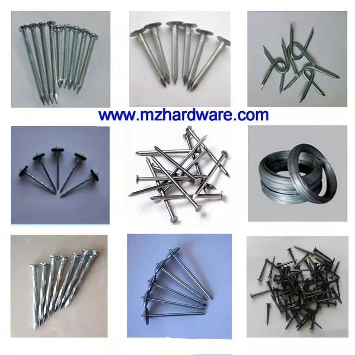 45#55#65# Carbon Steel Nail Concrete Nail Smooth/Twist/Twill Shank Galvanized or Black Coated