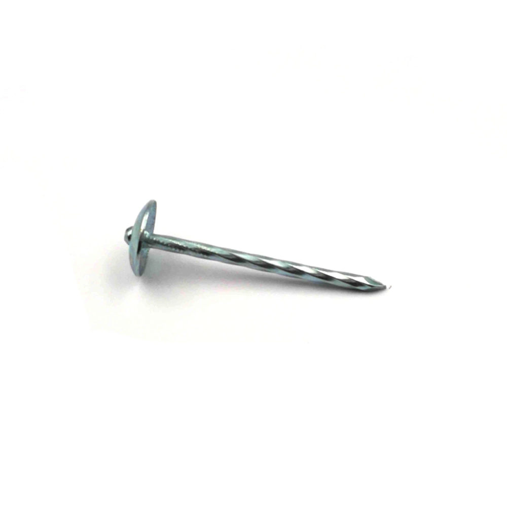 Galvanized Umbrella Head Roofing Nails with Smooth/Twist Shank Manufacturer