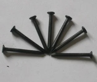 45# 55# High Quality Steel Angular Concrete Nail with Various Shank Screw/Twist/Smooth Shank