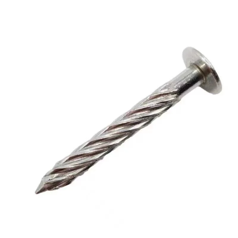 Flat Big Head Roofing Nail/Clout Nail Thick Hot DIP Coated Anti-Rust