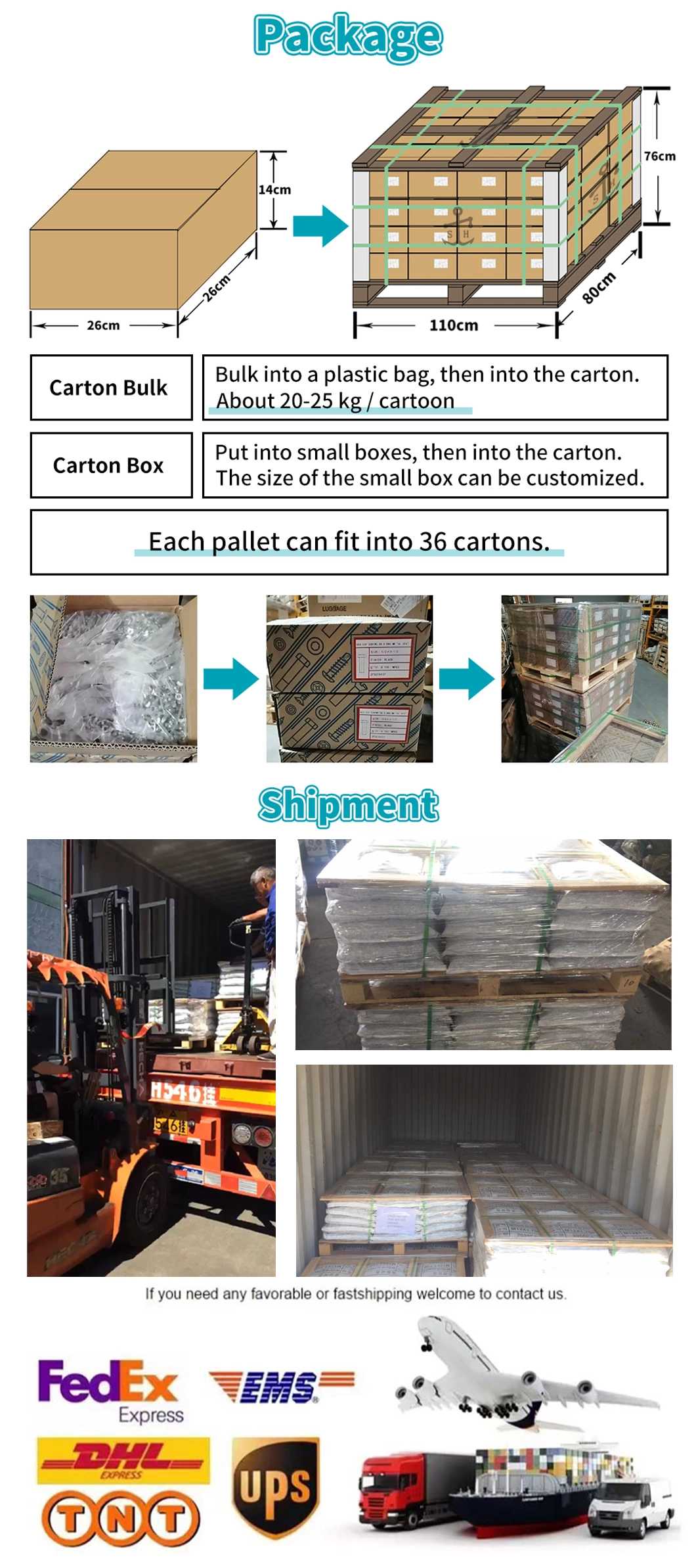 Special 6-Lobe Double Thread Ss Machine and Wood Self Drilling Screw Made in China